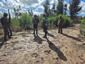 Partida alcazar 22 de marzo
